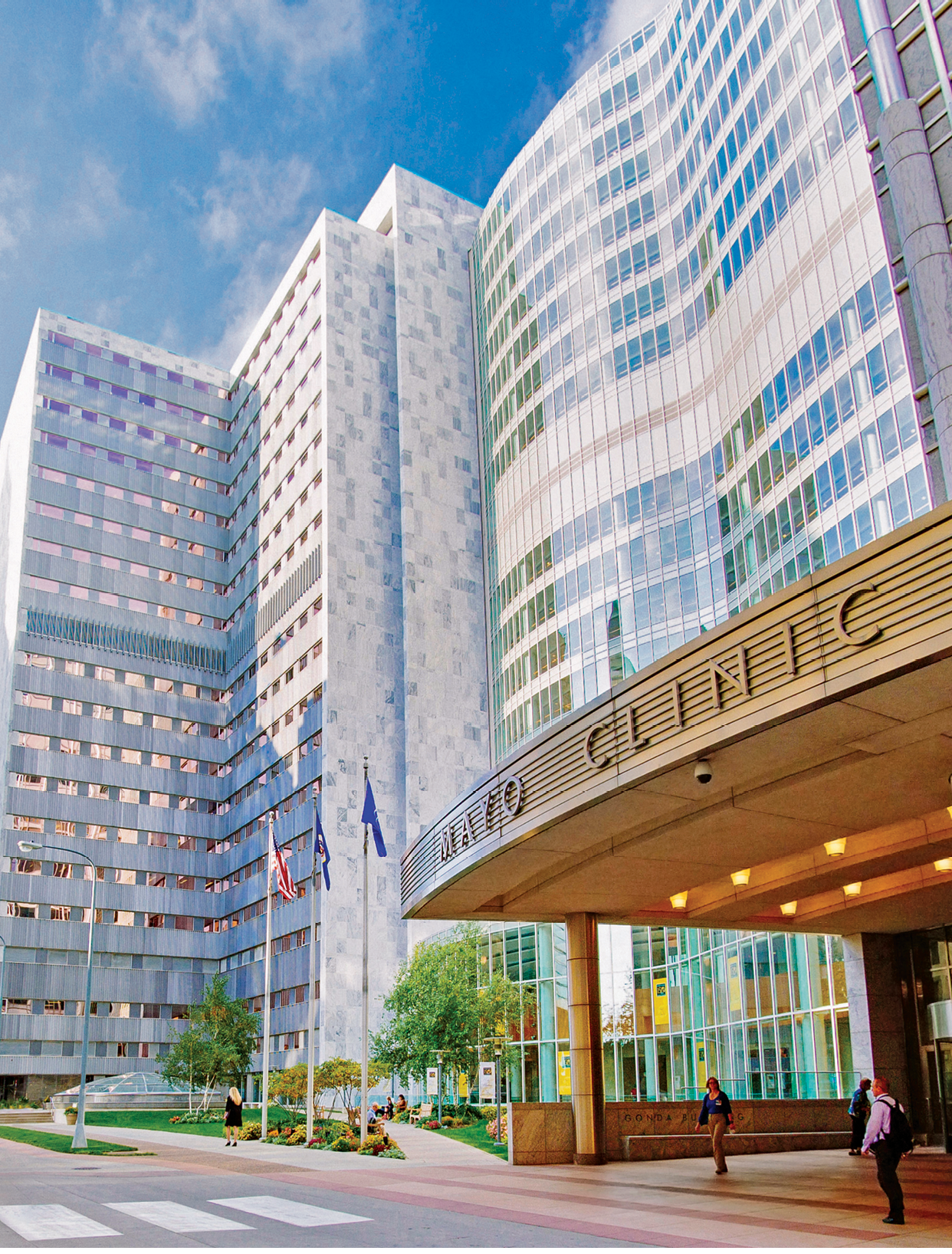 Assets from Brand Strategy and Creative Studio