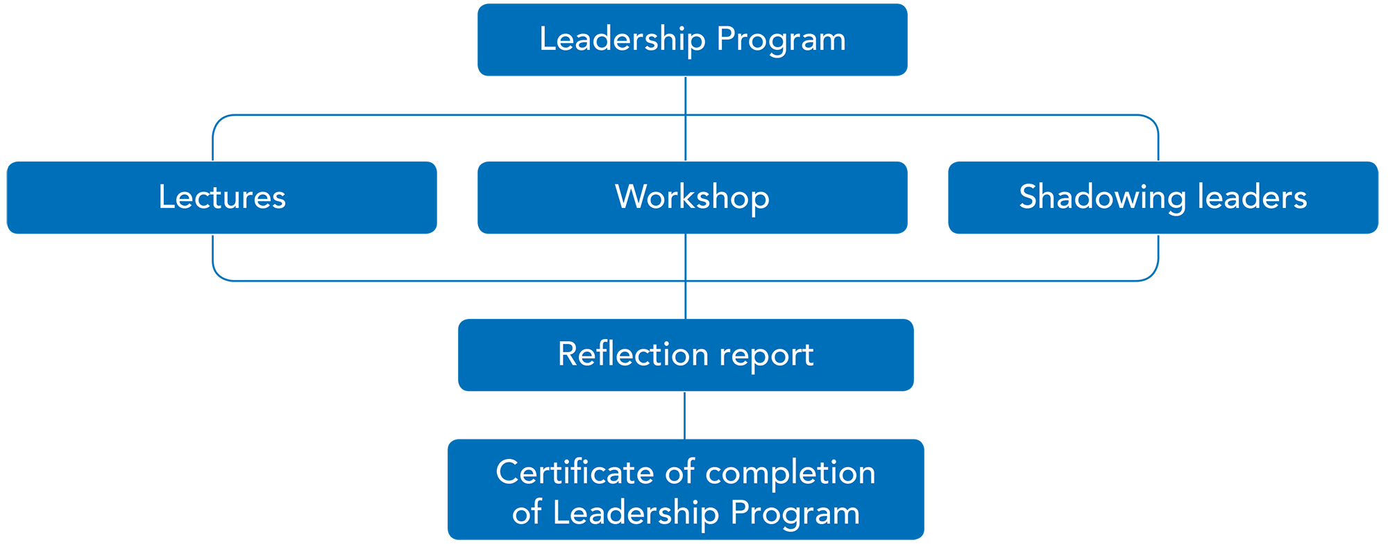 SSMC Education Leadership Program Features 