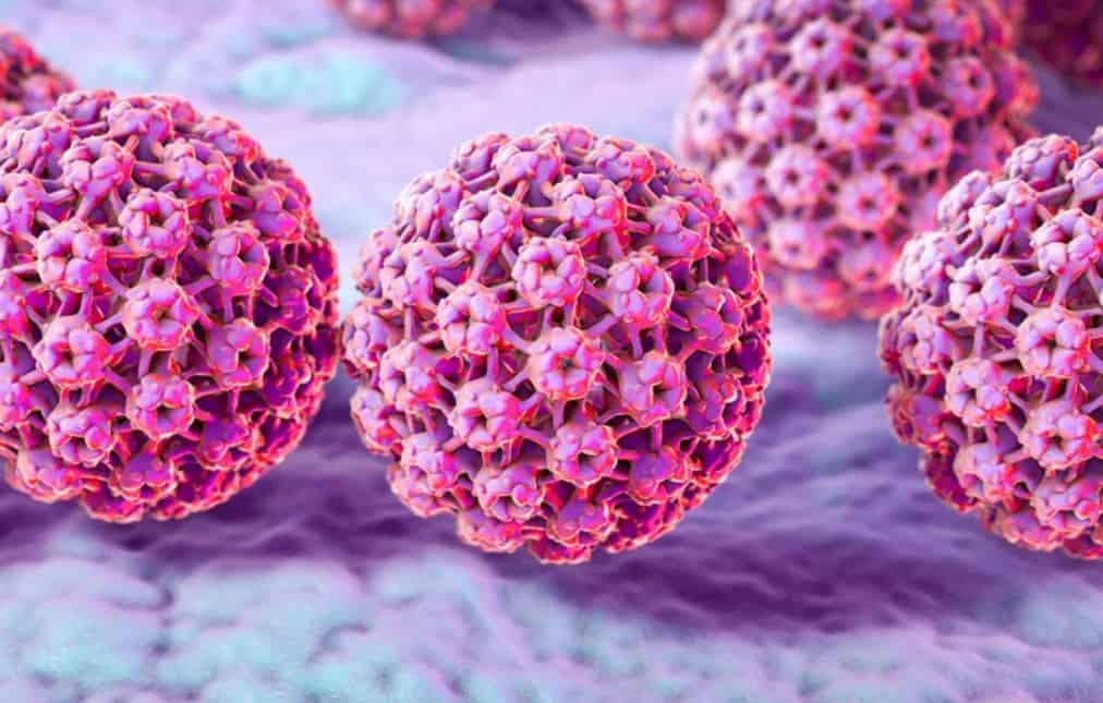 في شهر التّوعية حول سرطان عنق الرحم… لا تنخفض المعدّلات إلا بفضل مناعة القطيع وأبو ظبي مثالاً