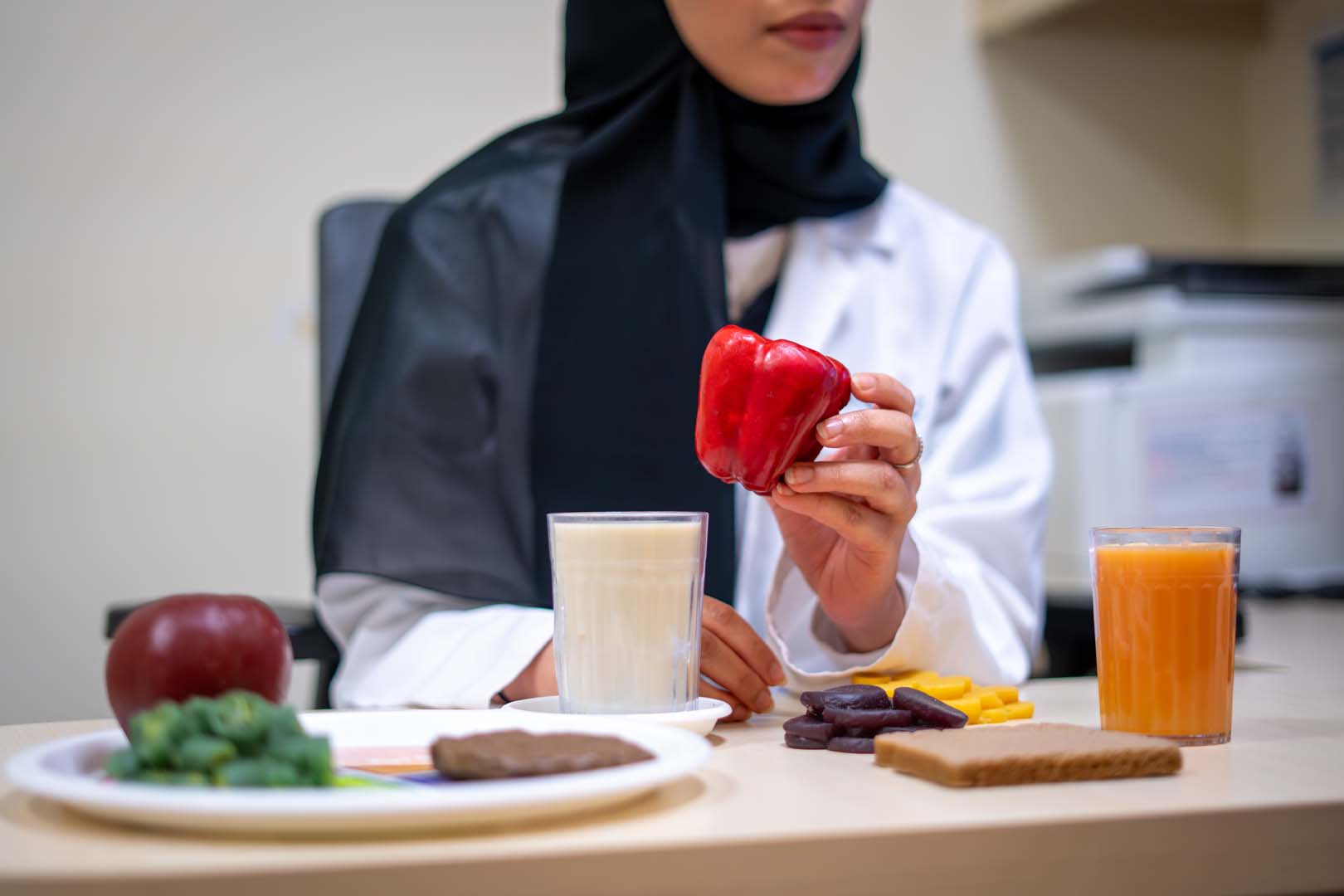 Dietitian consulting with a patient one-on-one