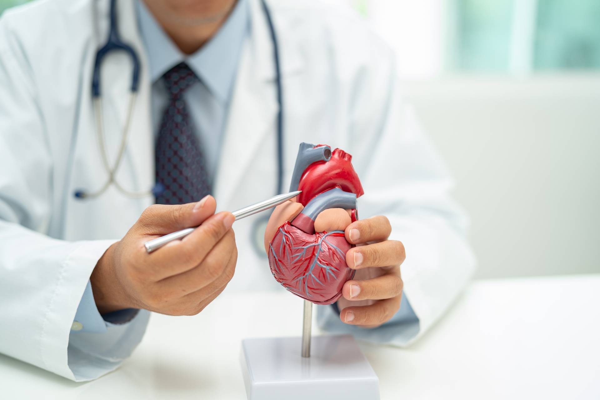 Electrophysiology and Heart Rhythm Management