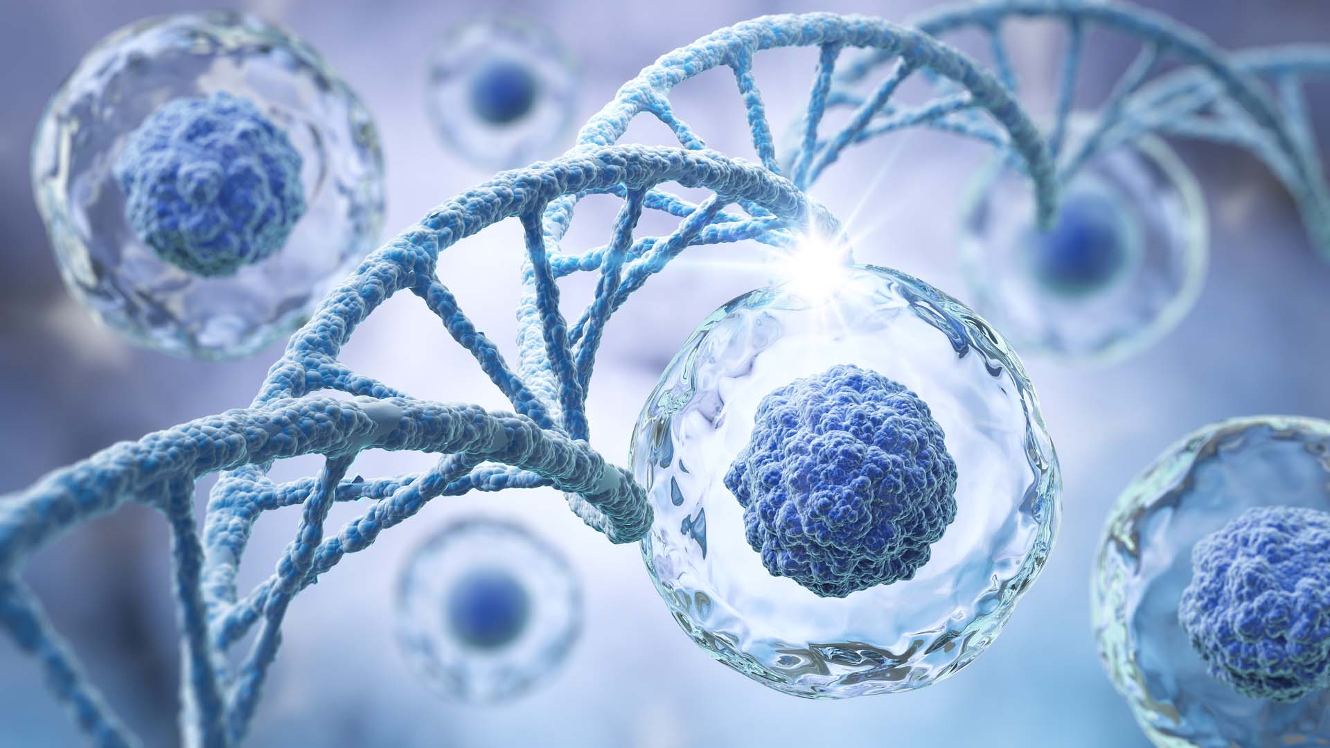 DNA Strands and Cellular Structures